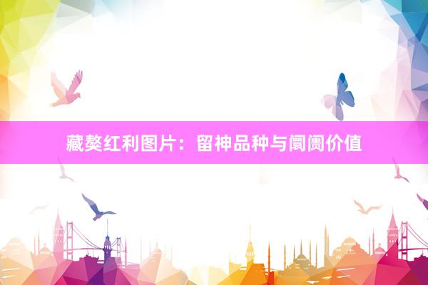 藏獒红利图片：留神品种与阛阓价值
