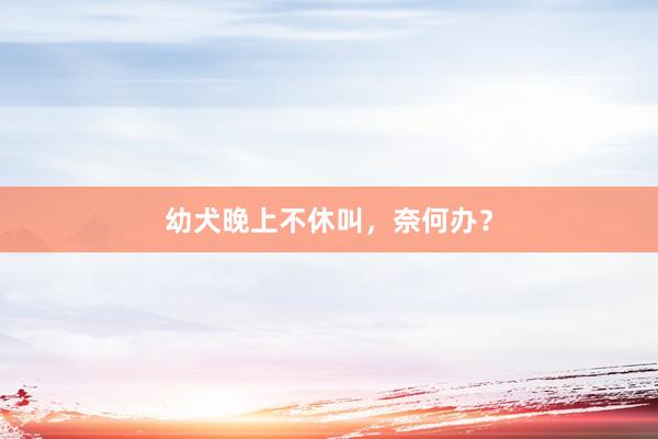 幼犬晚上不休叫，奈何办？