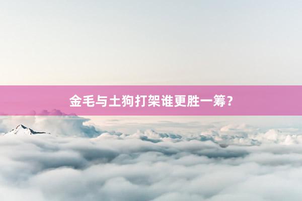 金毛与土狗打架谁更胜一筹?